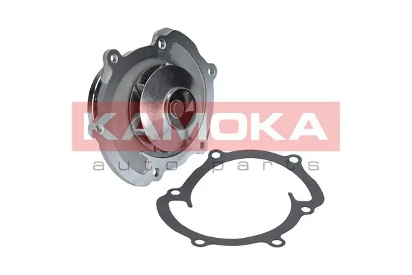 T0008 Kamoka