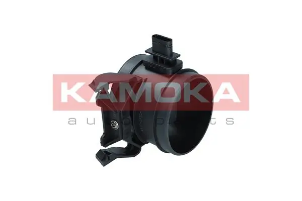 18019 Kamoka