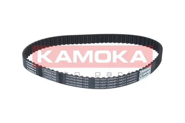 Correa distribucion 2048190 Swag