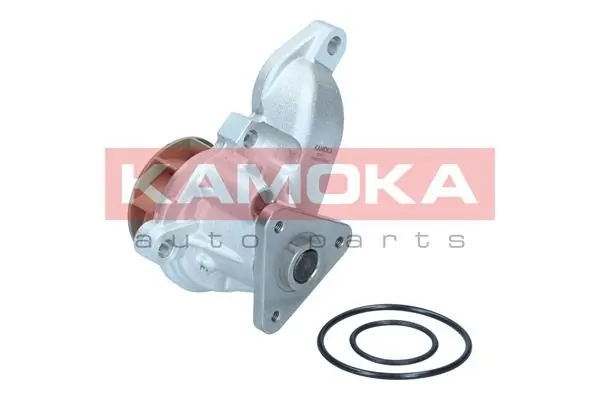 T0315 Kamoka