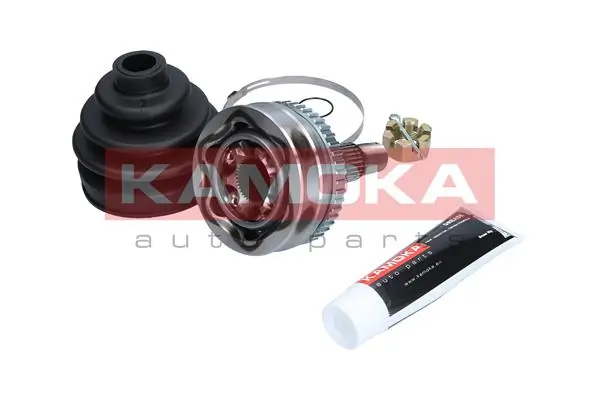 6576 Kamoka