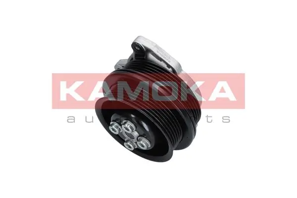 T0278 Kamoka