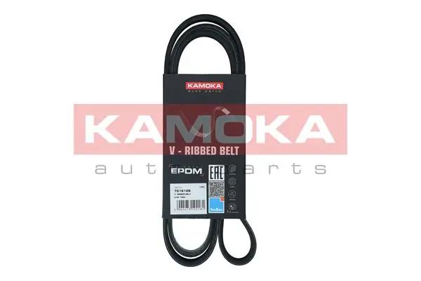 Correa accesorios Dayco 6PK1564