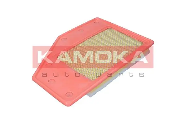 F258101 Kamoka