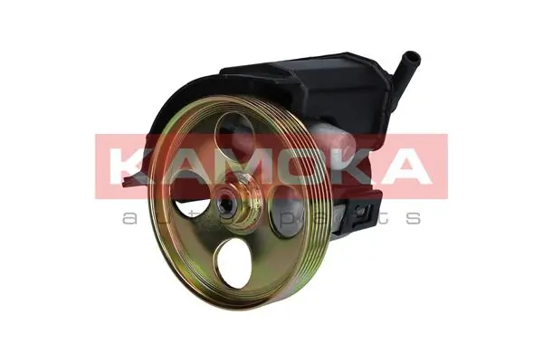 PP053 Kamoka
