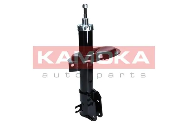 2001050 Kamoka