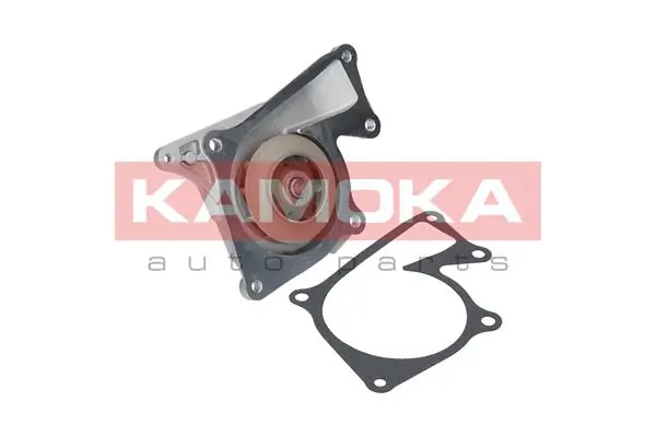 T0101 Kamoka