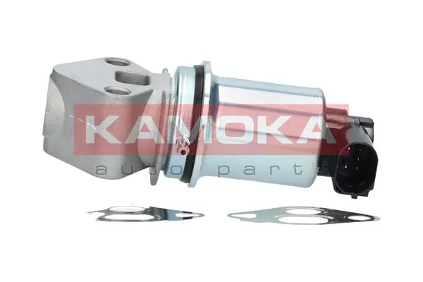 19017 Kamoka