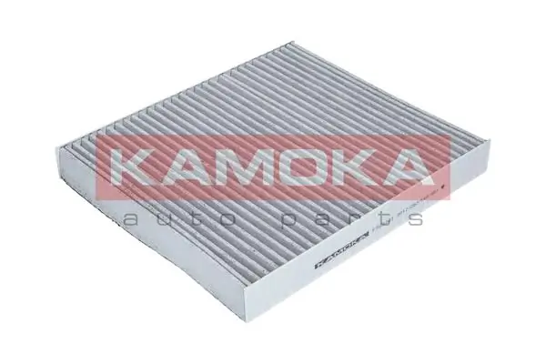 F503301 Kamoka