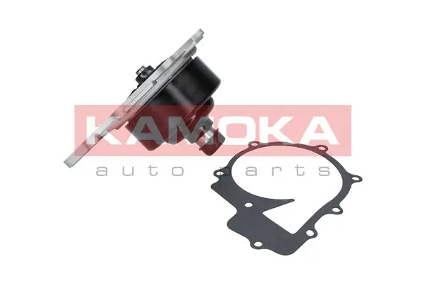 T0200 Kamoka