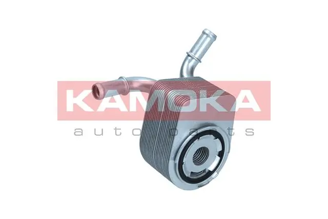 7730069 Kamoka