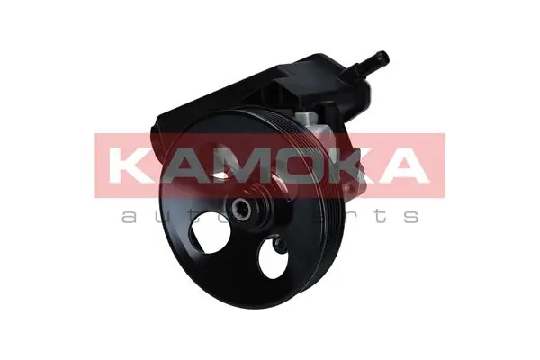 PP162 Kamoka