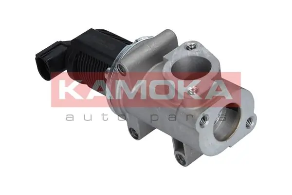 19008 Kamoka