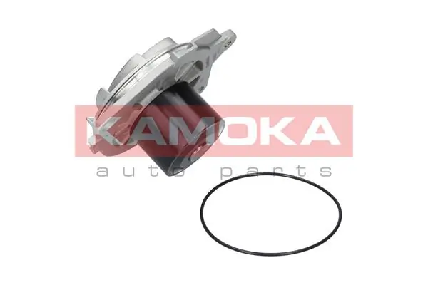 T0002 Kamoka