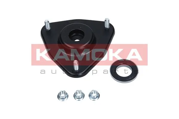 209114 Kamoka