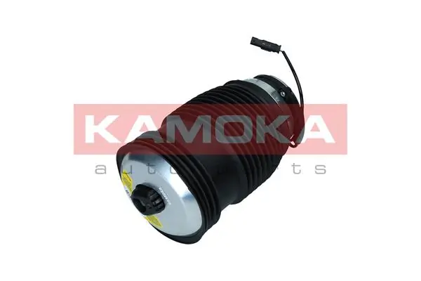 2079050 Kamoka