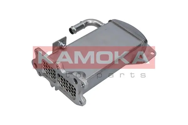 19C067 Kamoka