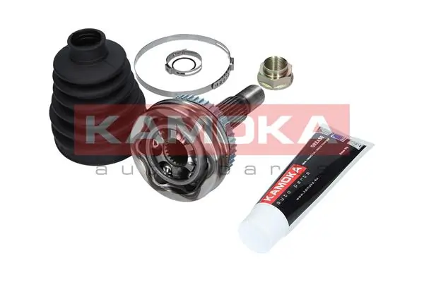 6134 Kamoka