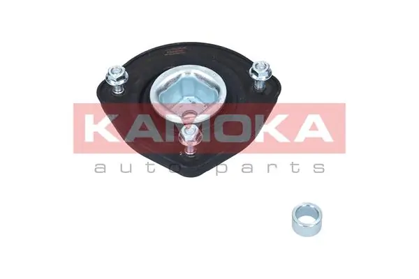 209090 Kamoka