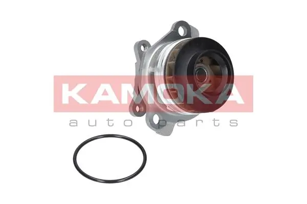 T0222 Kamoka