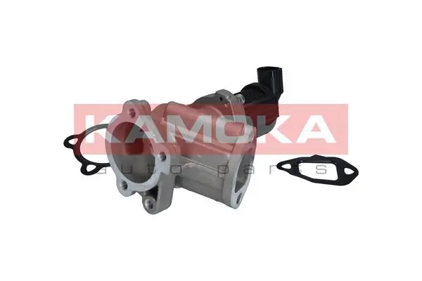 19018 Kamoka