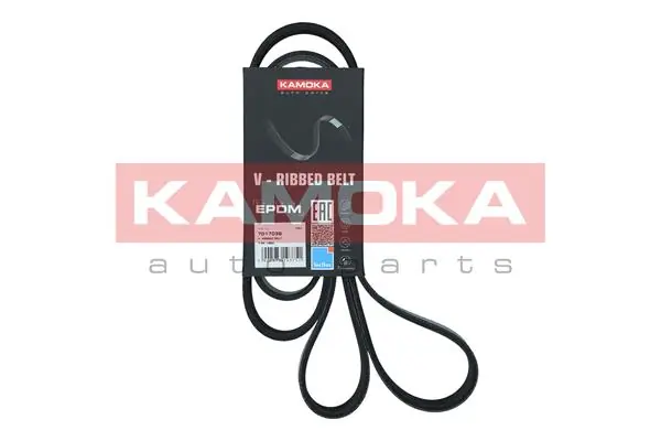7017038 Kamoka