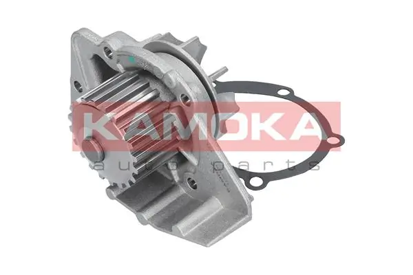 Bomba de agua Peugeot 406 8B