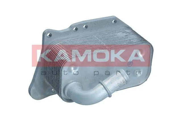 7730063 Kamoka