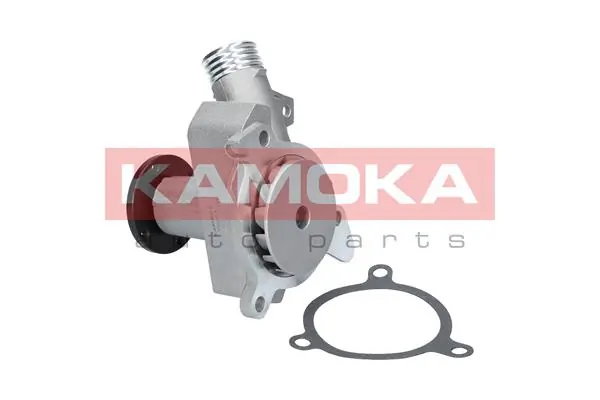 T0054 Kamoka