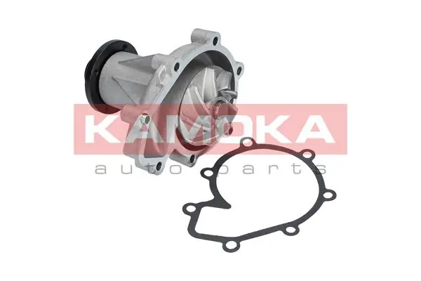 T0185 Kamoka