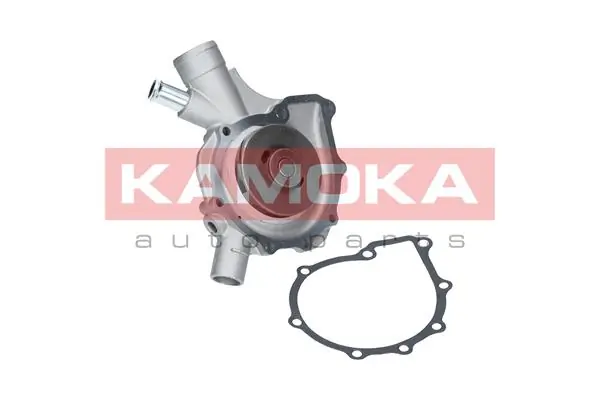 T0197 Kamoka