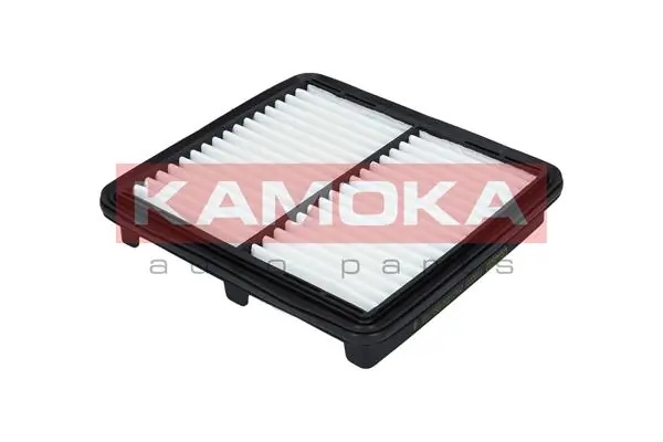 F202201 Kamoka