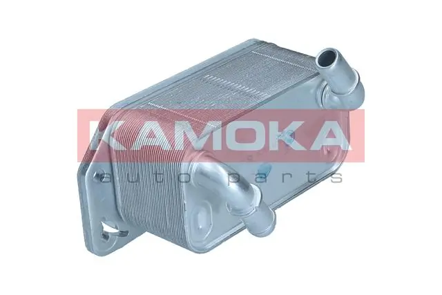 7730138 Kamoka