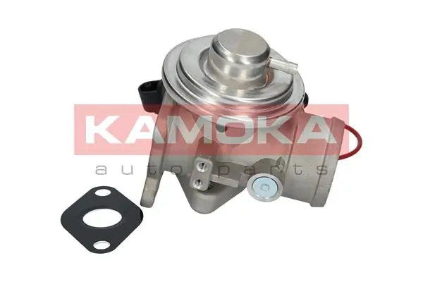 19025 Kamoka