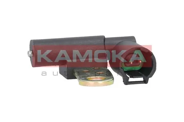 109007 Kamoka