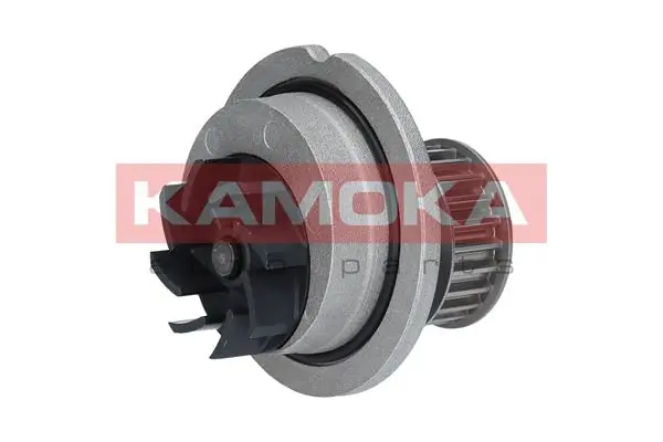 T0071 Kamoka
