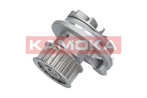T0069 Kamoka