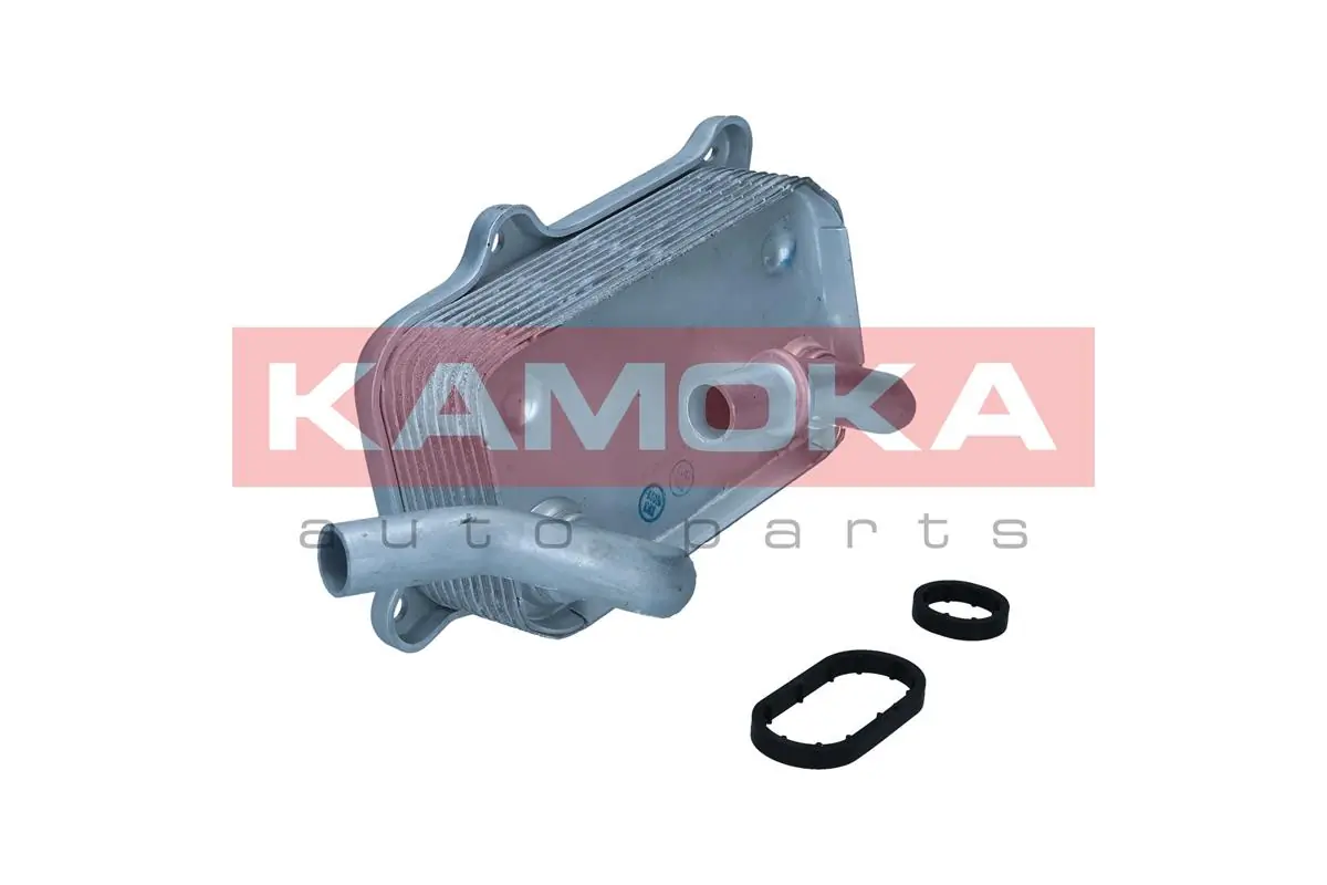 7730005 Kamoka