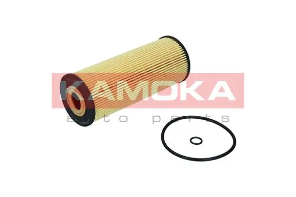 F100601 Kamoka