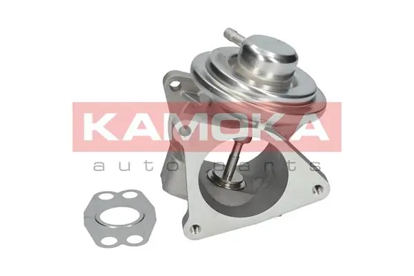 19020 Kamoka