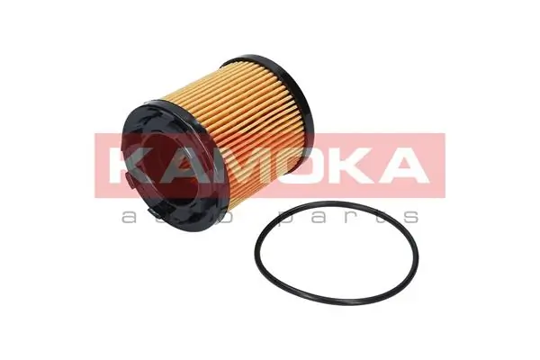 F109101 Kamoka