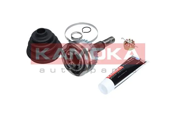 6956 Kamoka
