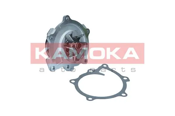 T0294 Kamoka