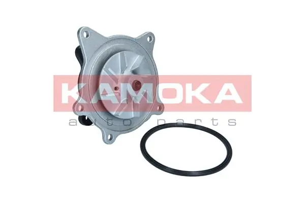 T0318 Kamoka