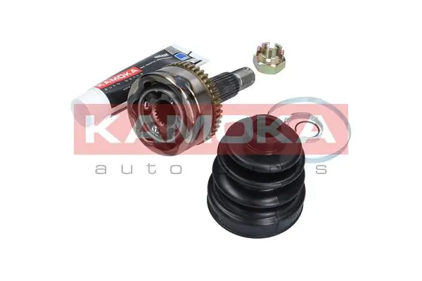 6008 Kamoka