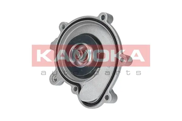 T0194 Kamoka