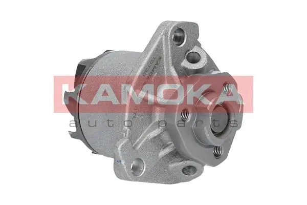 Bombeadora de agua Tata P524 precio, desde 28,34 EUR