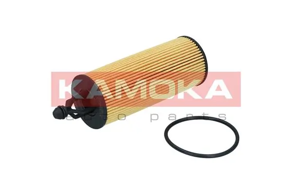 F122901 Kamoka