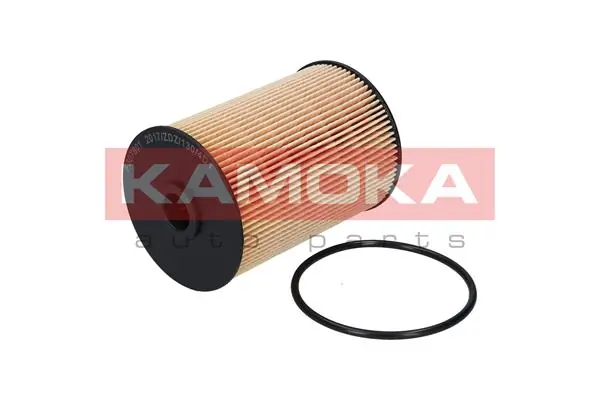 F307801 Kamoka