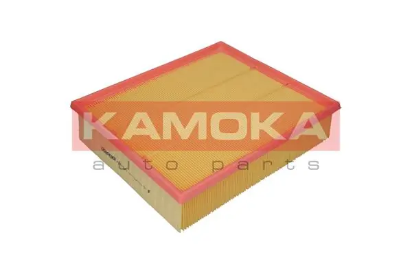 F201301 Kamoka